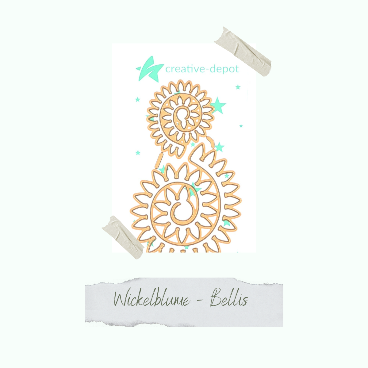 CD-Di-892-Wickelblume-Bellis