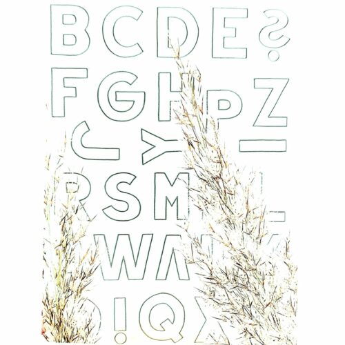 WhatsAppImage20211105at11-03-464e1636107012819 Stempelset - Carolas Doodle Alphabet - Outline II