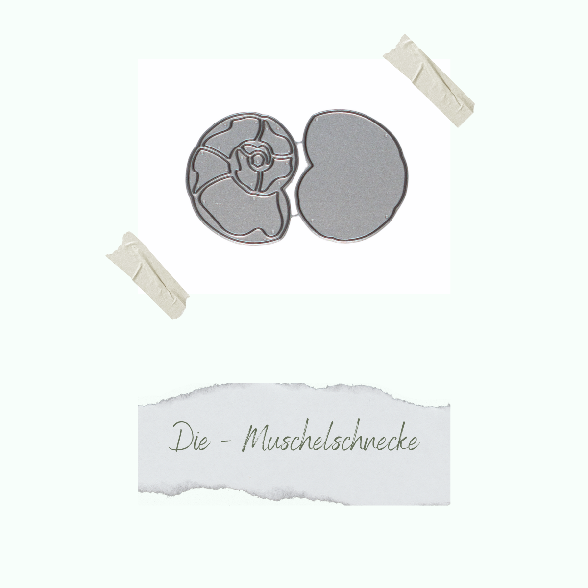 CD-Di-652_Die-Muschelschnecke