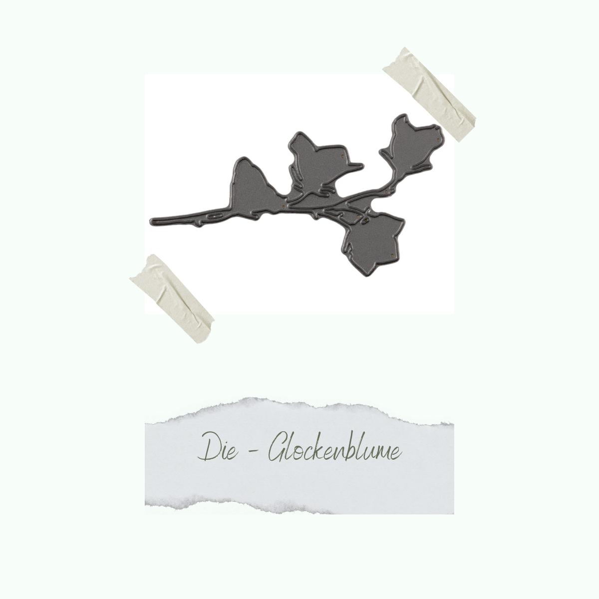 CD-Di-041_Die-Glockenblume
