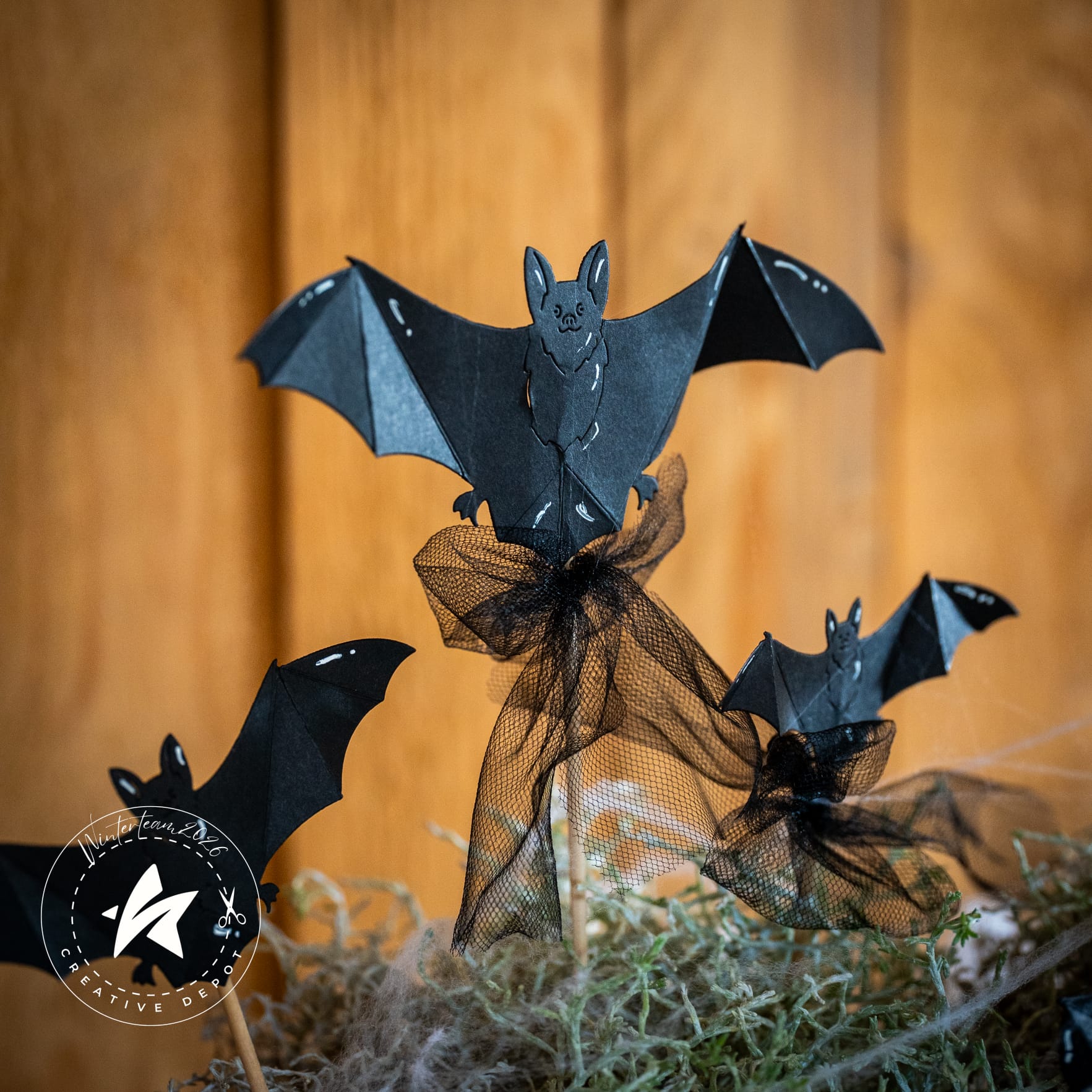 Die - Fledermaus XXL