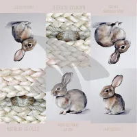 Design paper - Easter bunny card sheet