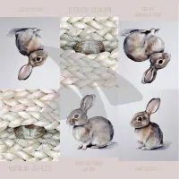 Papel de diseño - Hoja de tarjeta Conejito de Pascua Papel de diseño - Hoja de tarjeta Conejito de Pascua