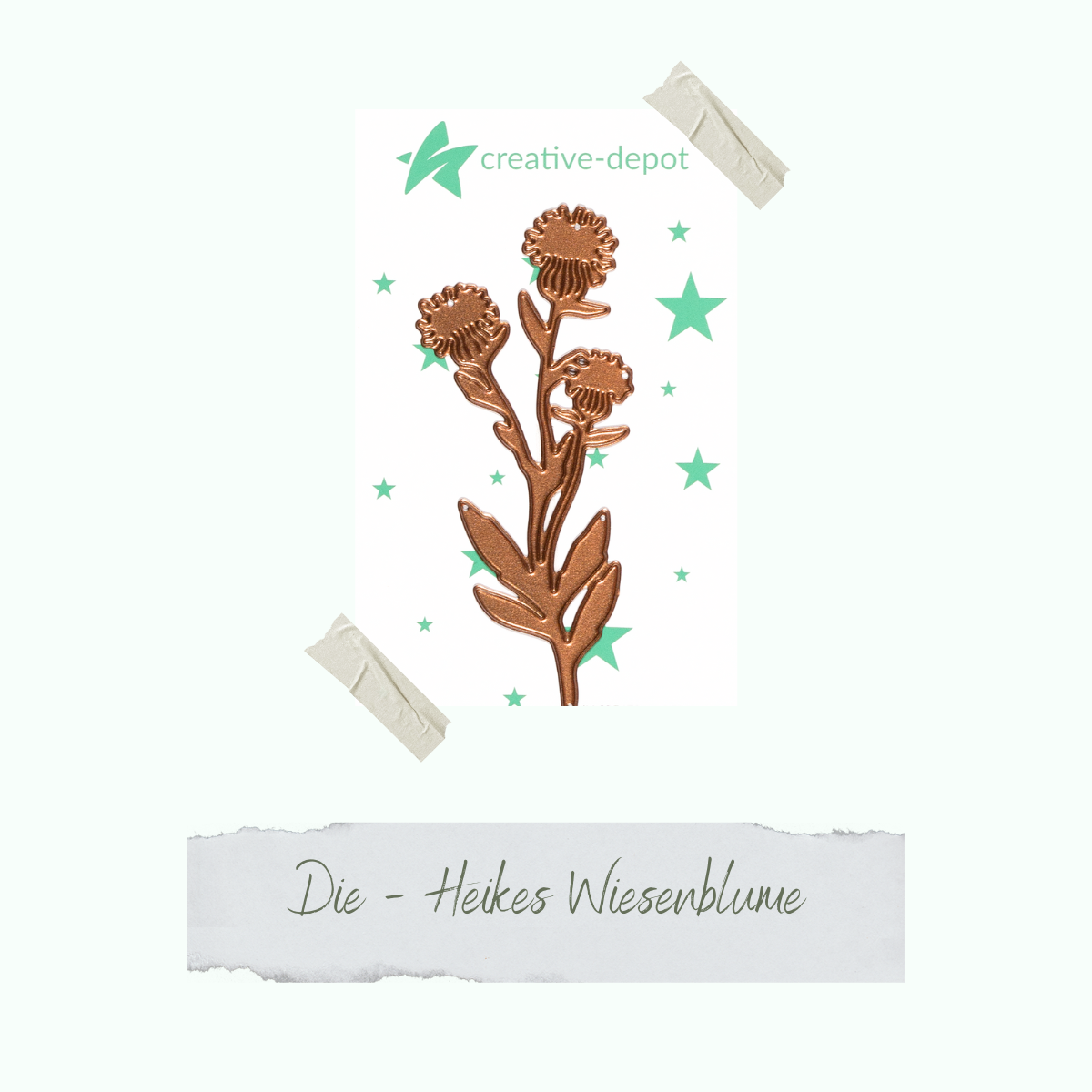 CD-Die-1366_Die-Heikes-Wiesenblume
