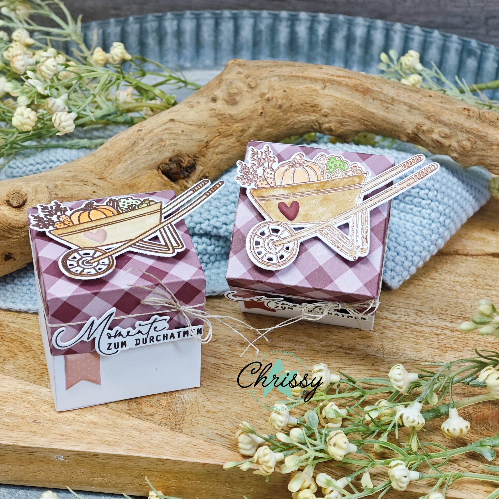 Bundle - Kürbiszeit