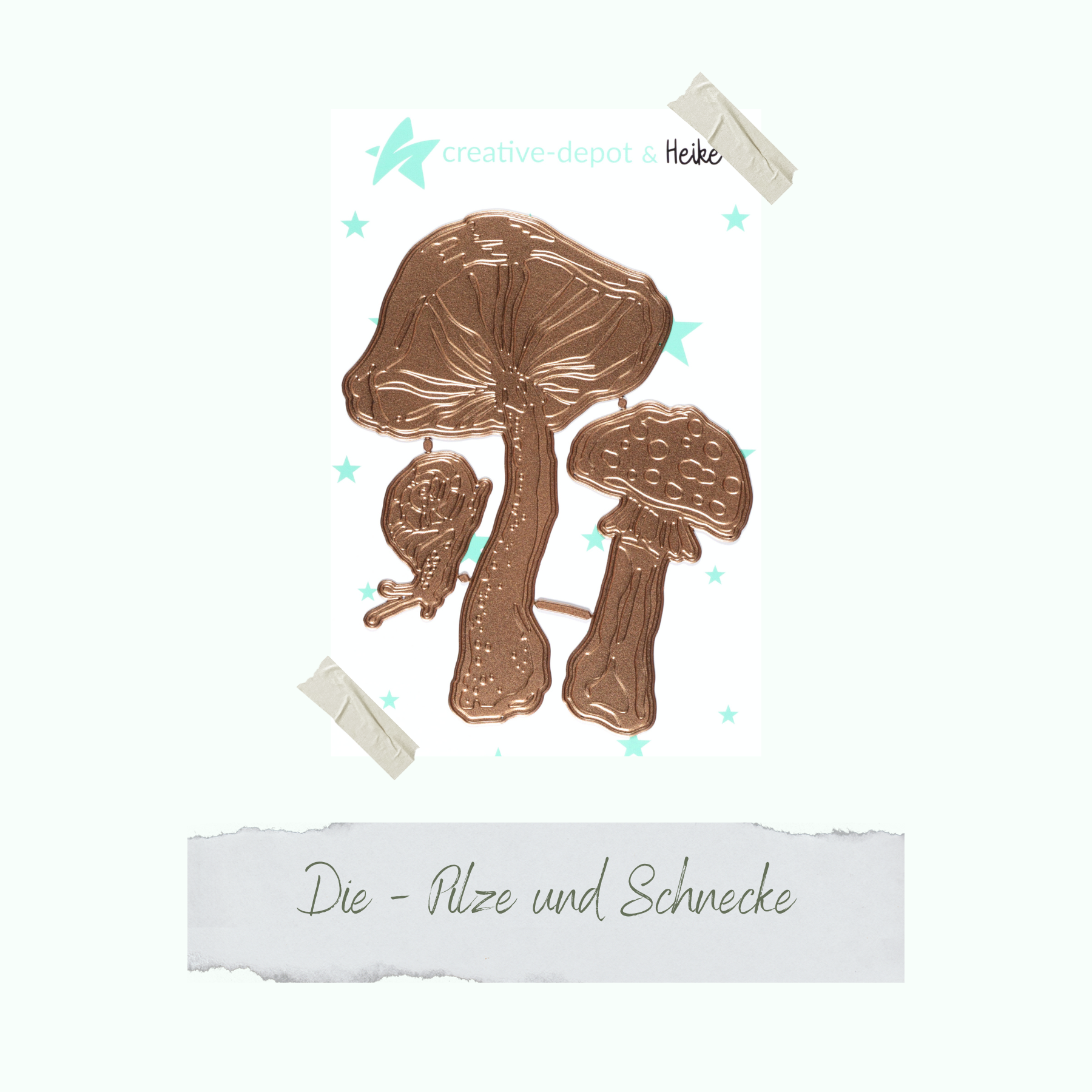 Die - Pilze und Schnecke