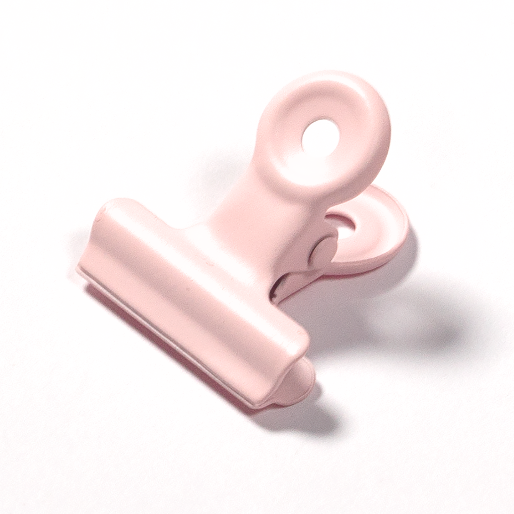 Paper Clip - Babyrosa