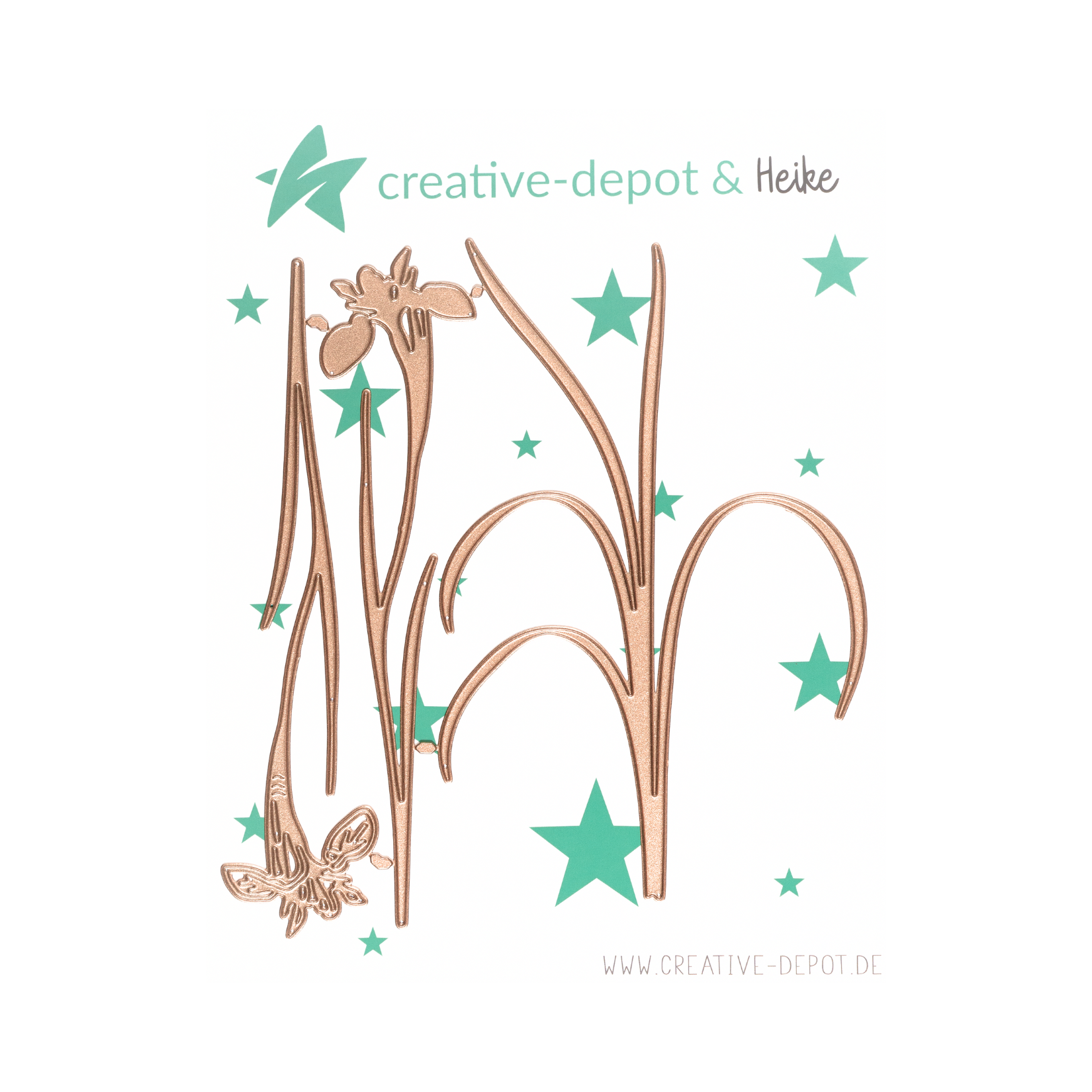 Die - Großes Iris Set