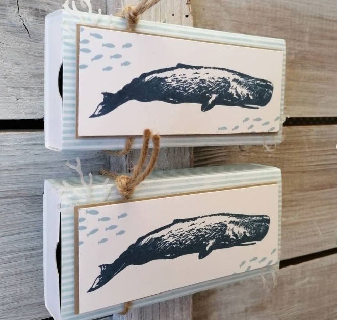 Meeresfreundey5JIrAQej2jRz