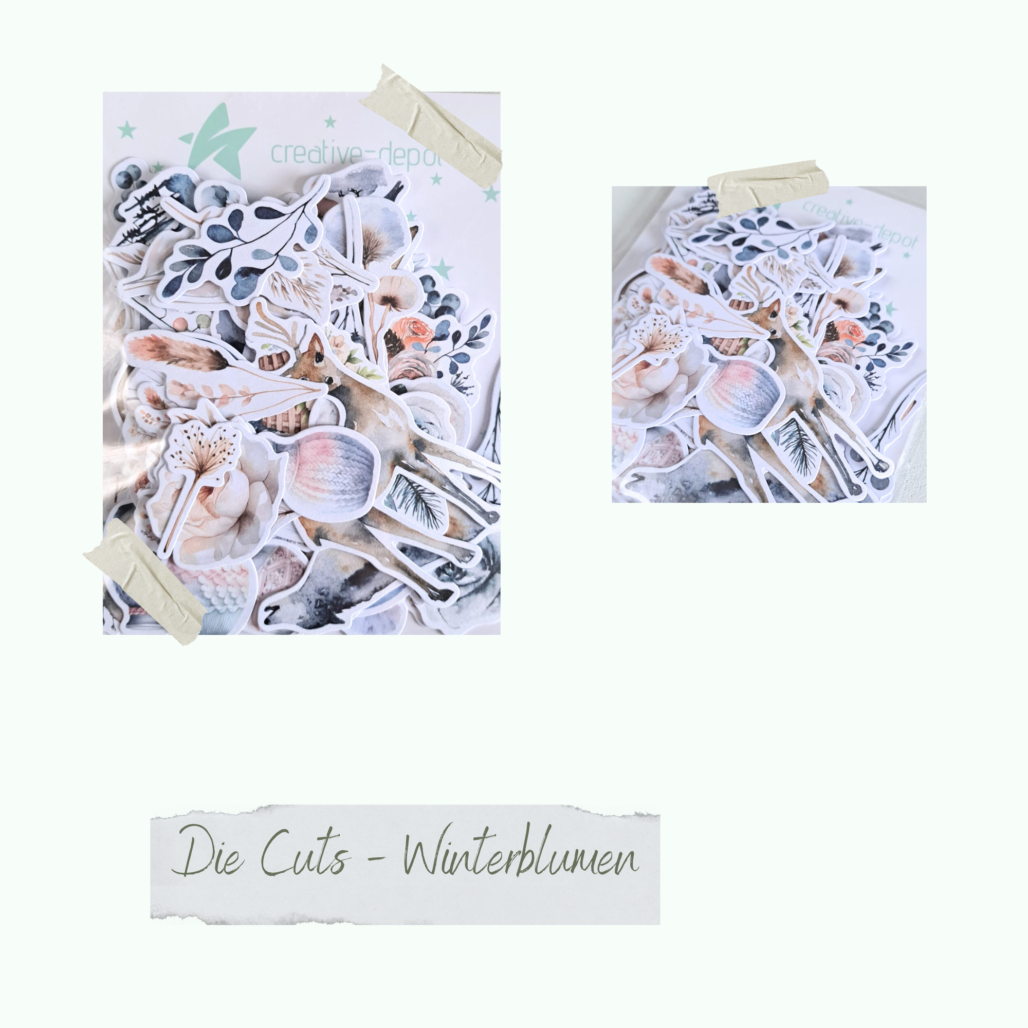 Die Cuts - Winterblumen