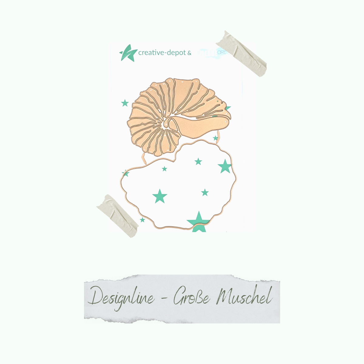 CD-Di-933-Designline-Grosse-Muschel