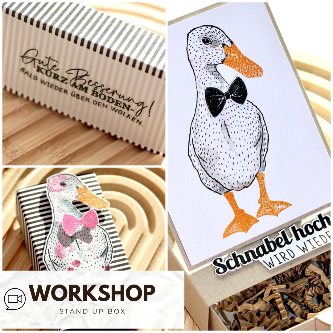 Zoom - Workshop Annis Stand up Box 28.01.2026 