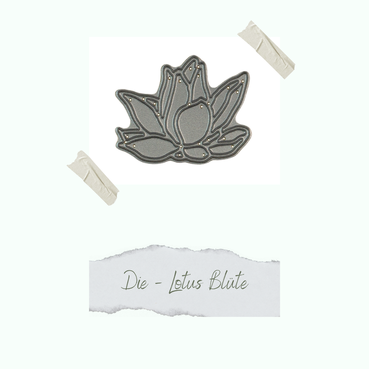 Die - Lotus Blüte - Nur noch so lange der Vorrat reicht