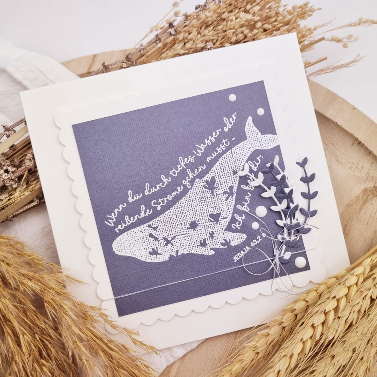 47e5cfd7-d773-4e4b-87b6-e2fb63977767