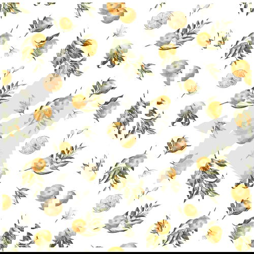 AquarellPampelmusen Aquarell Pampelmusen