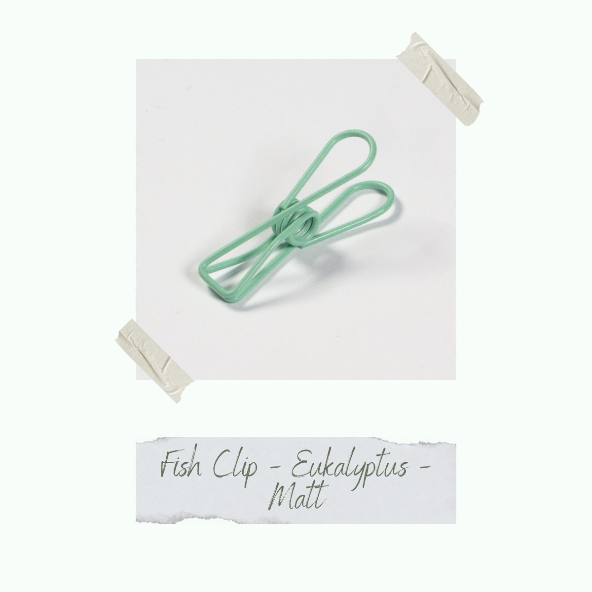 CD-ZB-092_Fish-Clip-Eukalyptus-Matt Fish Clip - Eukalyptus - 0,8 x 3,2 cm