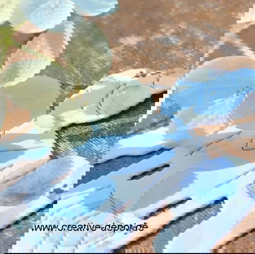 EngelsPrinzessinIII Engels-Prinzessin-III