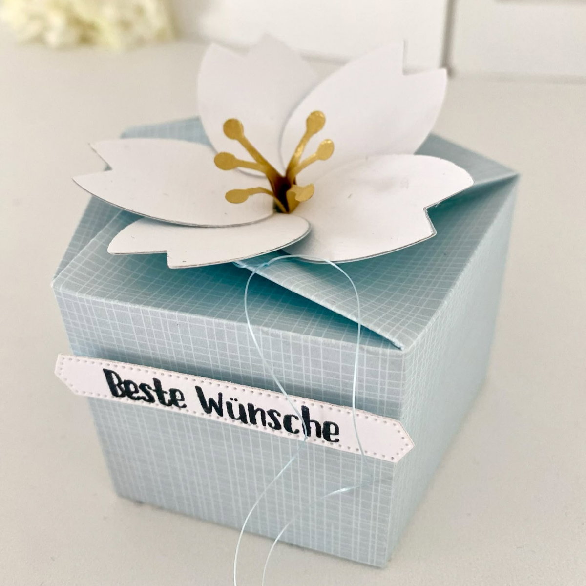 La - boîte à fleurs