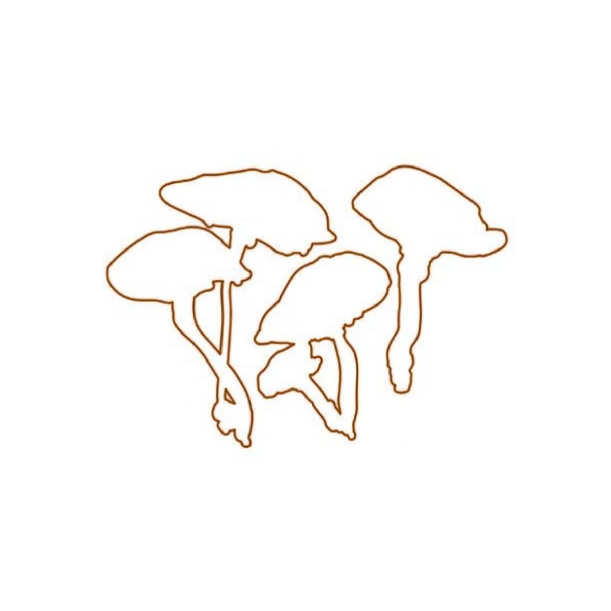 Die - Pilzgrüße - Outline