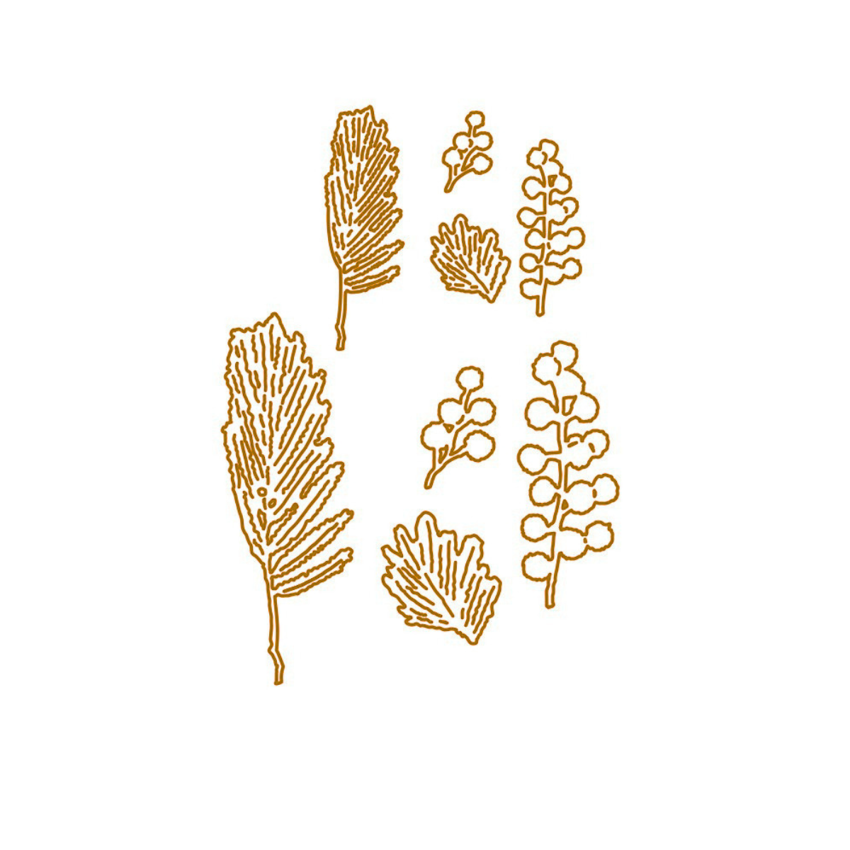 Die - Mimosen - Set