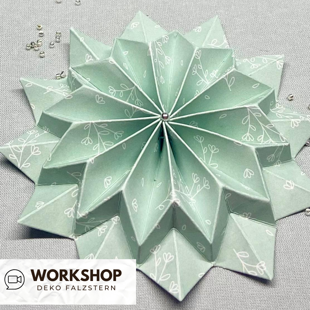 Zoom Workshop Dekofaltstern 12.11.25  