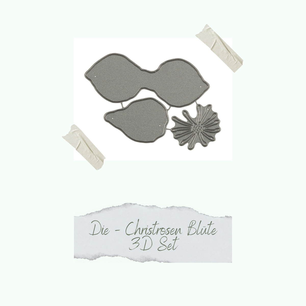CD-Di-500_Die-Christrosen-Bl-te-3D-Set