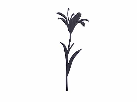 DieWildblumeII1 Die- Wildblume II