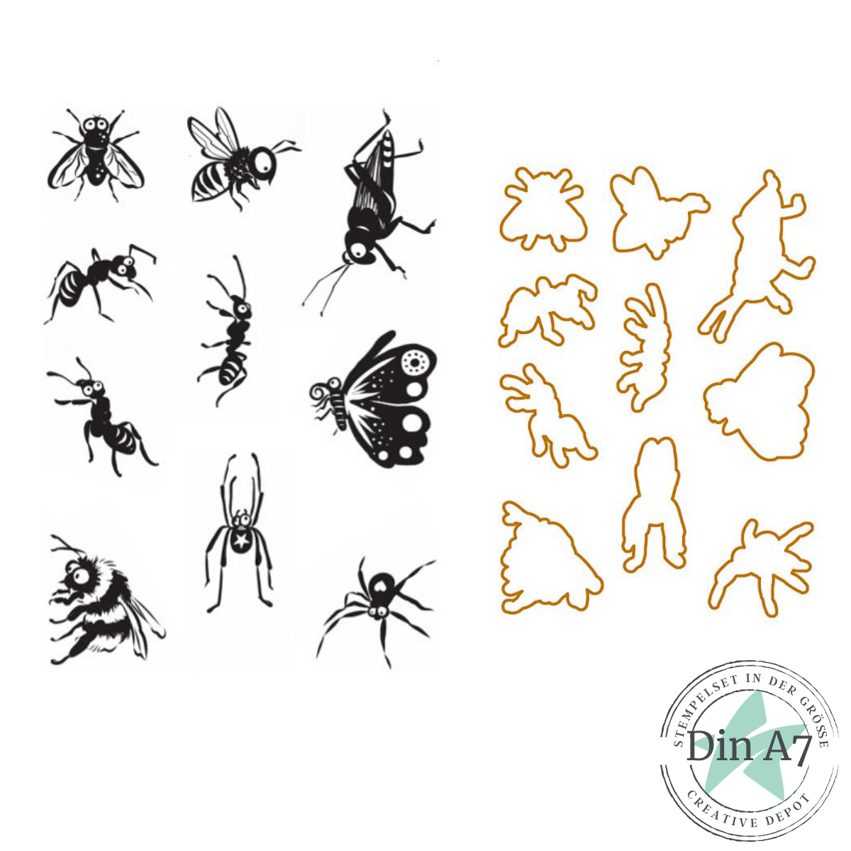 Bundle - Heikes Welt - Ameisen und Co
