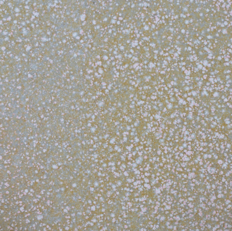 Dappled-Peach-1