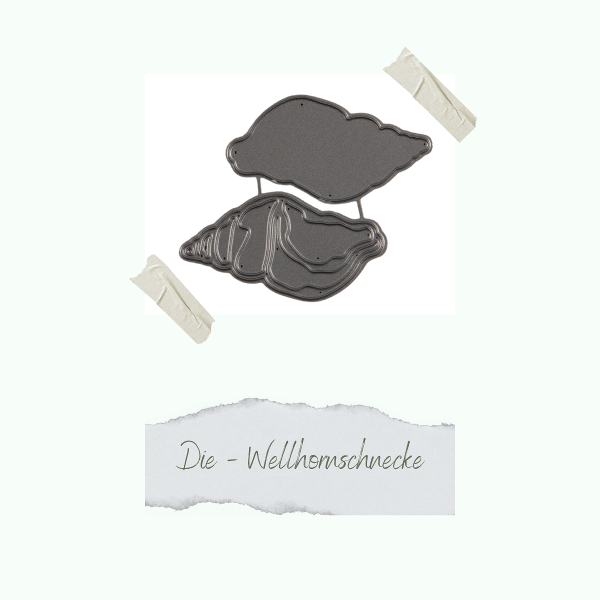 CD-Di-653_Die-Wellhornschnecke