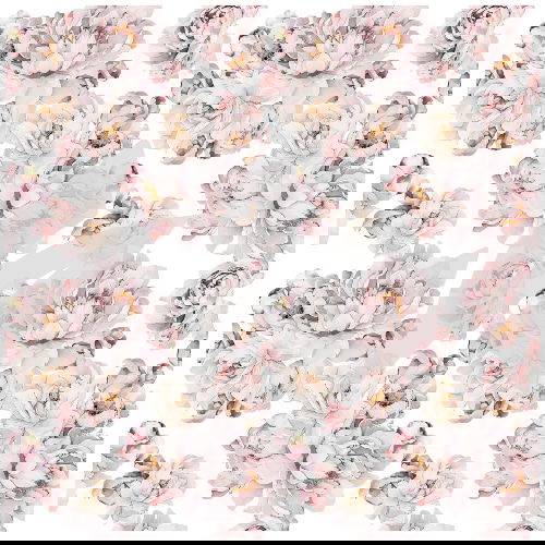 AquarellweissePfingstroseklein Aquarell - weiße Pfingstrose - klein