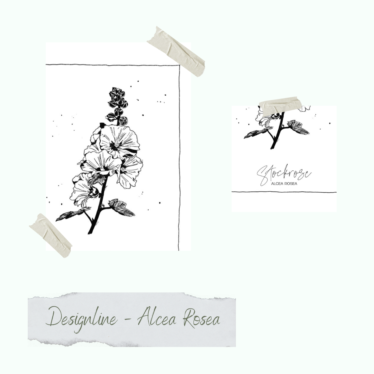 CD-Stt-1469 Stempelset - Designline - Alcea Rosea