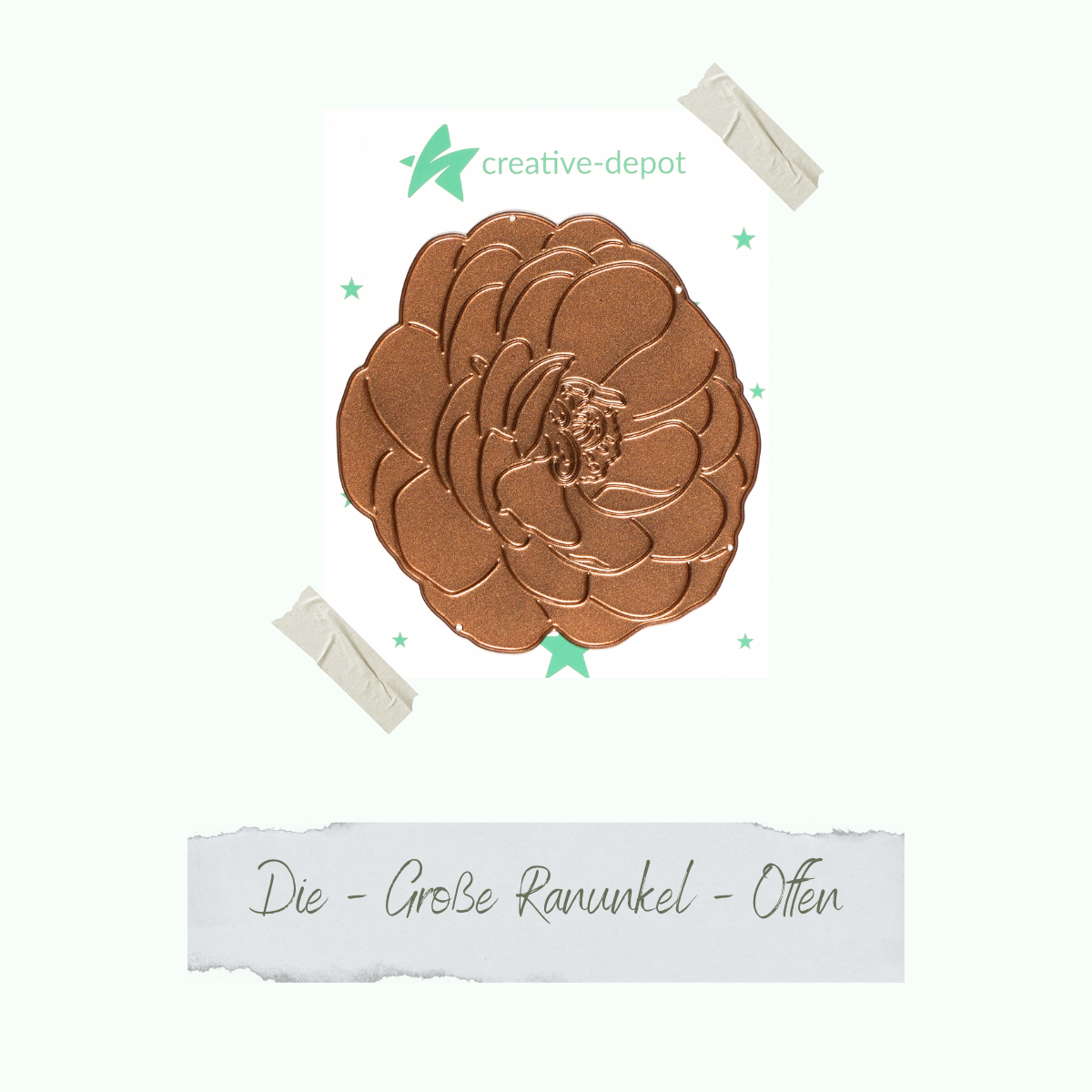 CD-Die-1309_Die-Grosse-Ranunkel-Offen