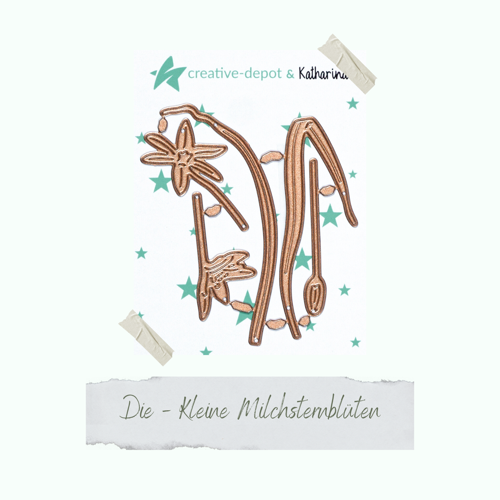 Die - Kleine Milchsternblüten