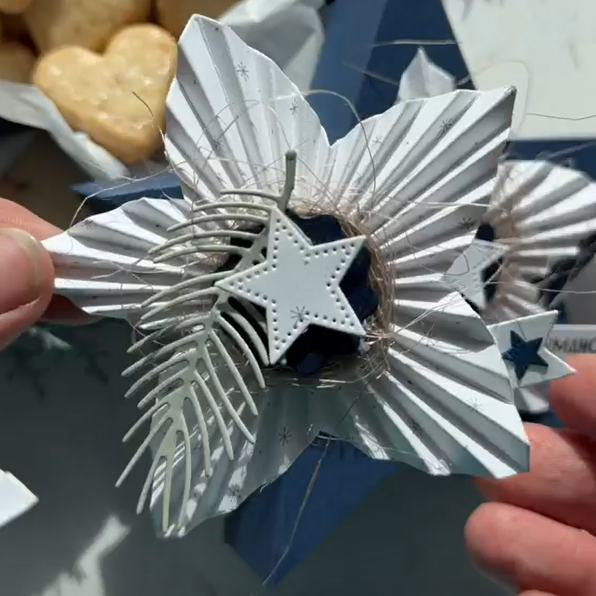 Die - Sternrosette