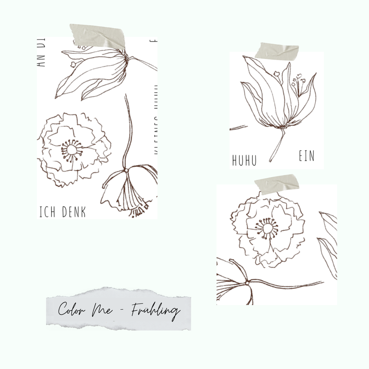 Color-Me-Fr-hling