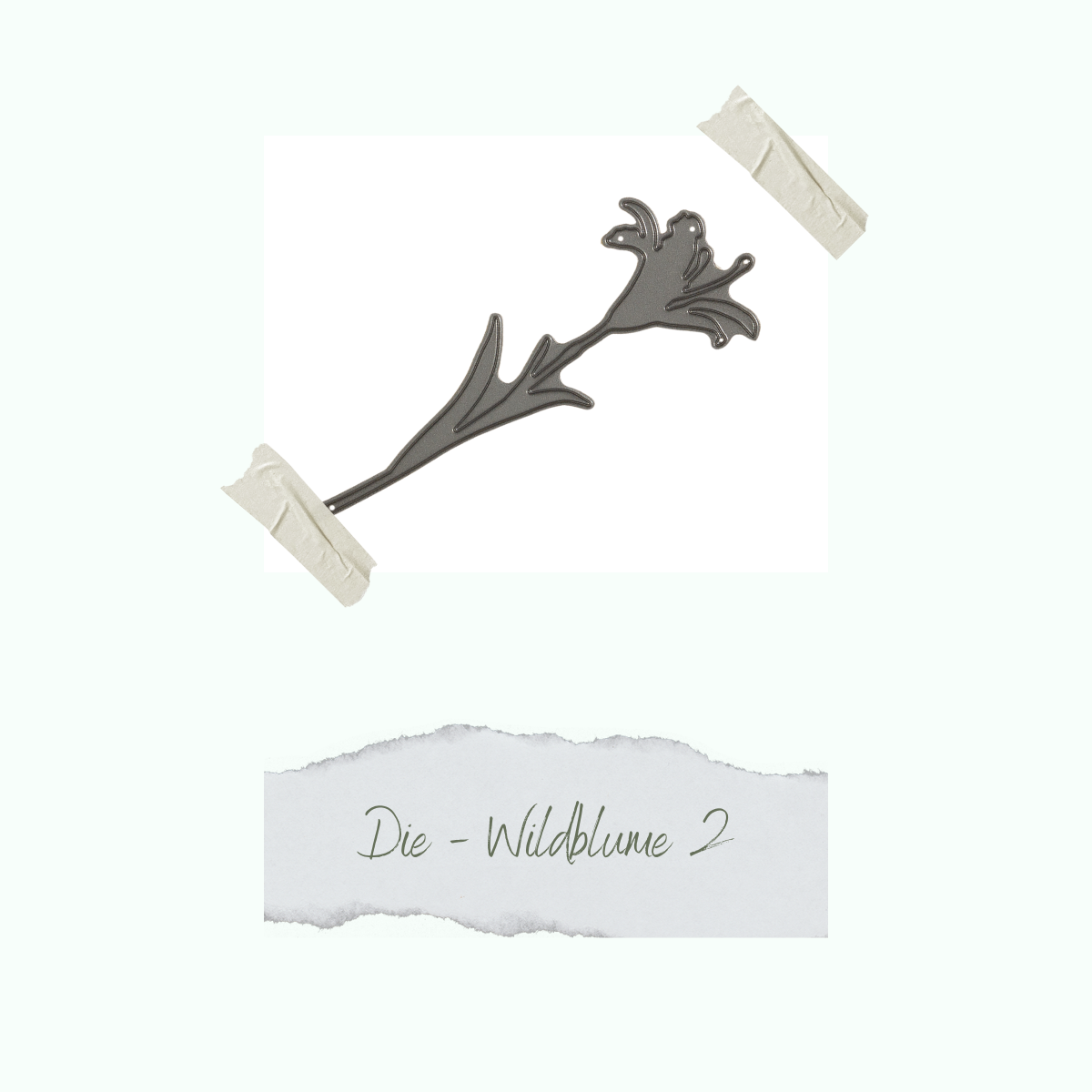 CD-Di-087_Die-Wildblume-2
