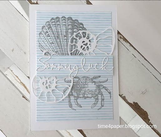 NautilusSchnecke Nautilus Schnecke