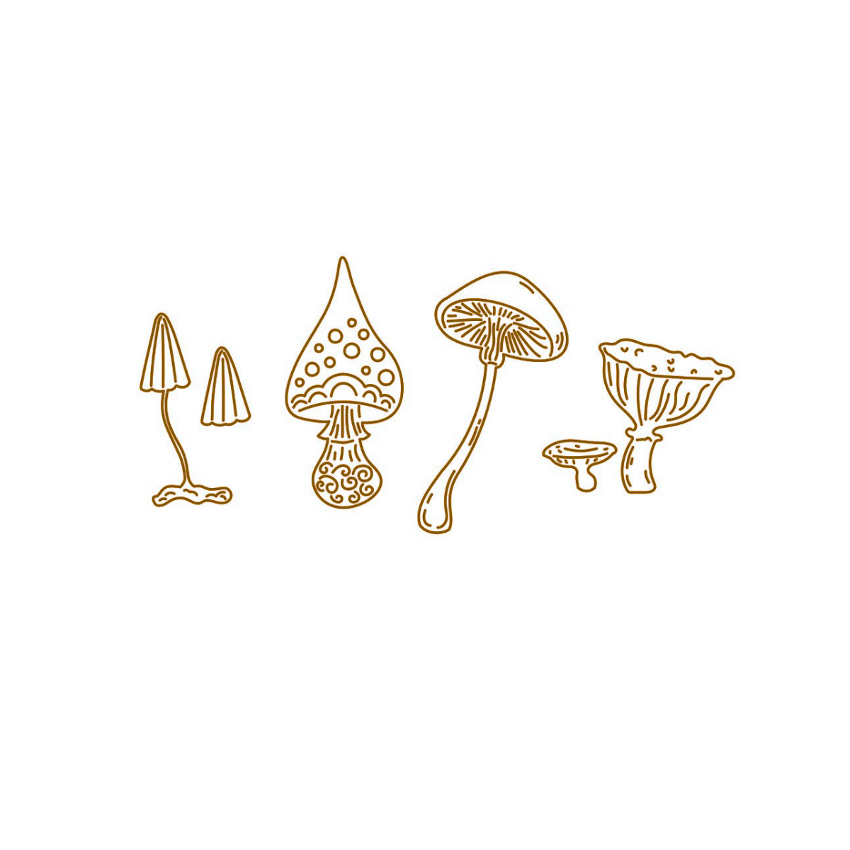 Les champignons - « champignons de conte de fées » -
