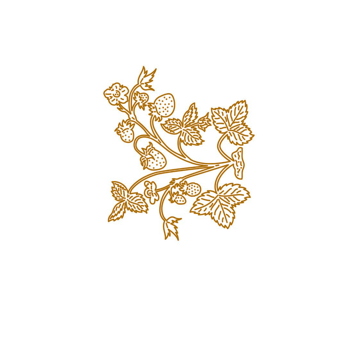 Die - Erdbeerpflanze