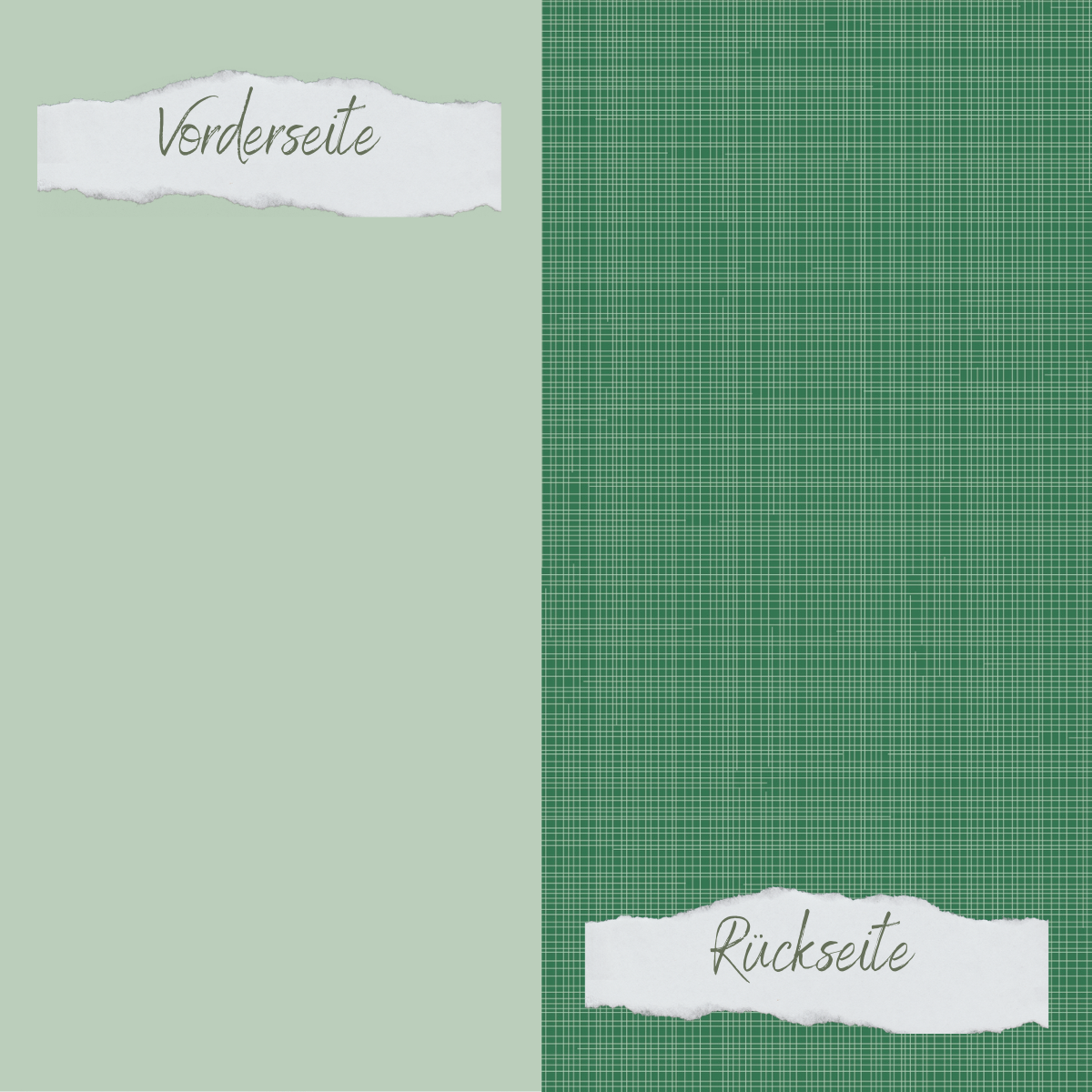 Papier à dessin - Designline - Basic - Vert sapin - Imprimé recto-verso