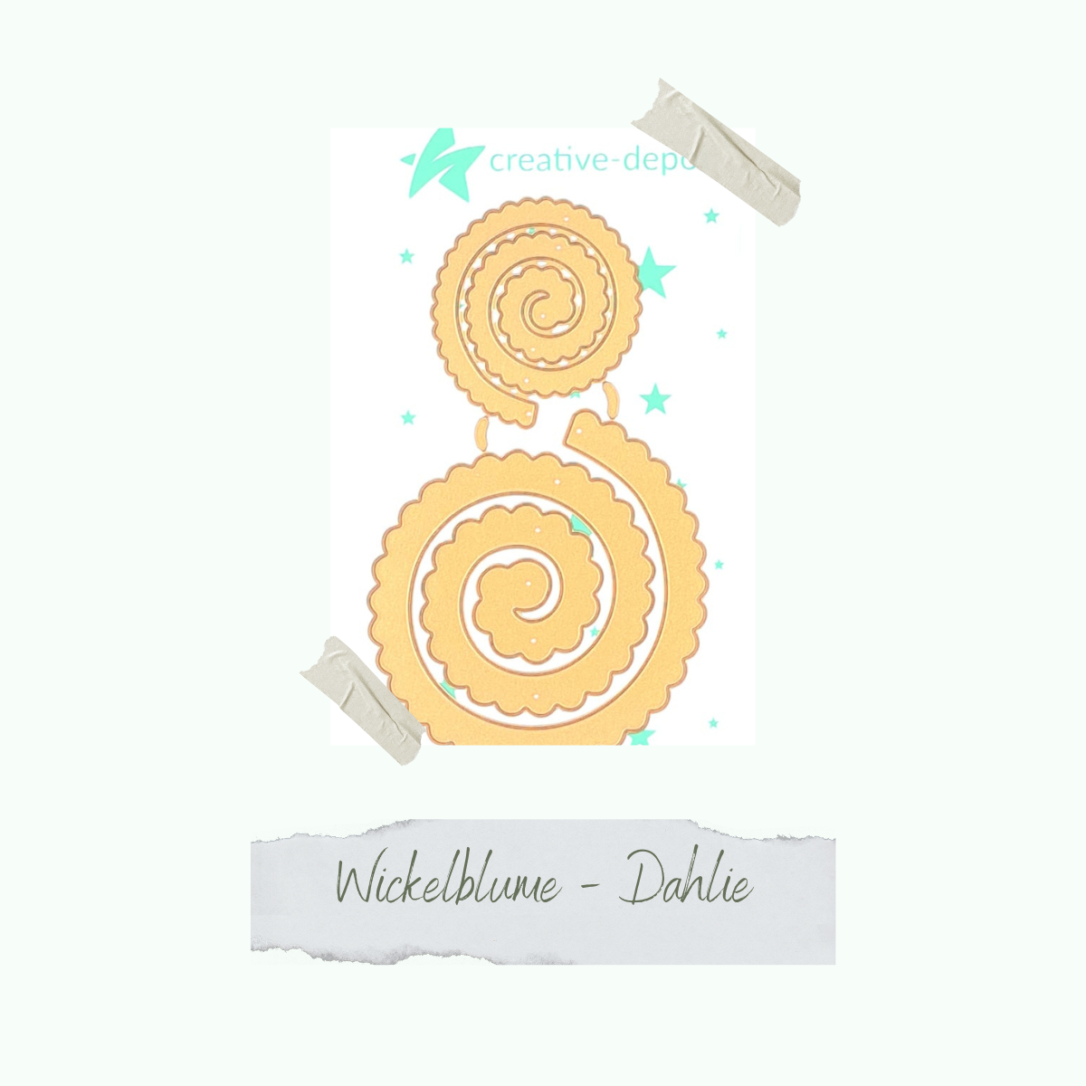 CD-Di-893-Wickelblume-Dahlie