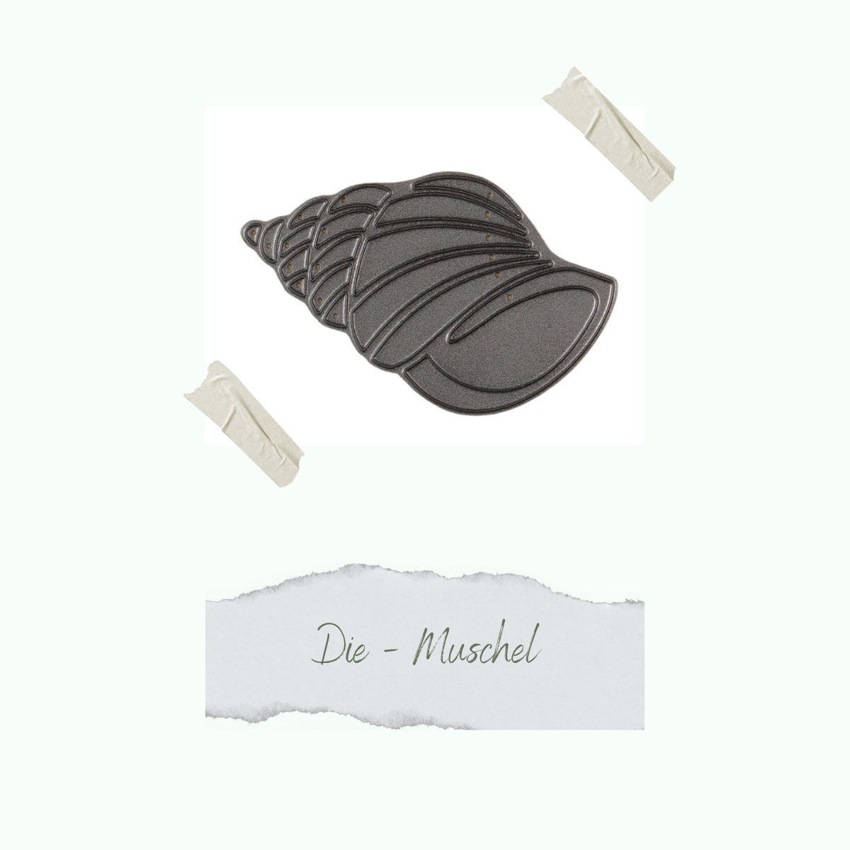 CD-Di-052_Die-Muschel