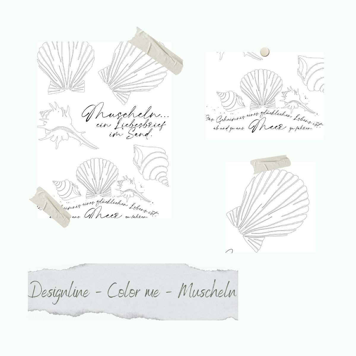 Stamp set - Designline - Color me - Muscheln