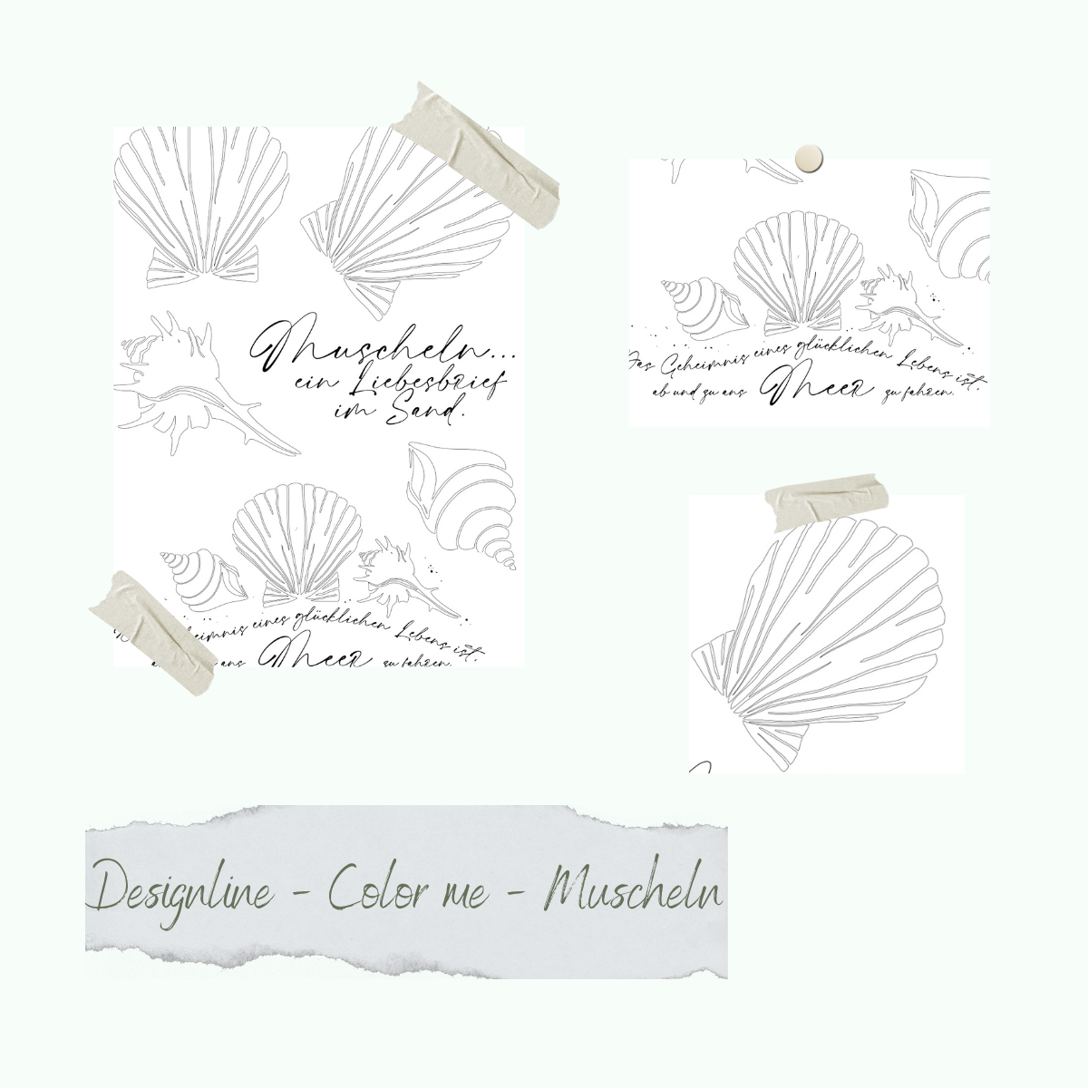 CD-Stt-1087-Designline-Color-me-Muscheln Set de Sello - Designline - Color me - Muscheln