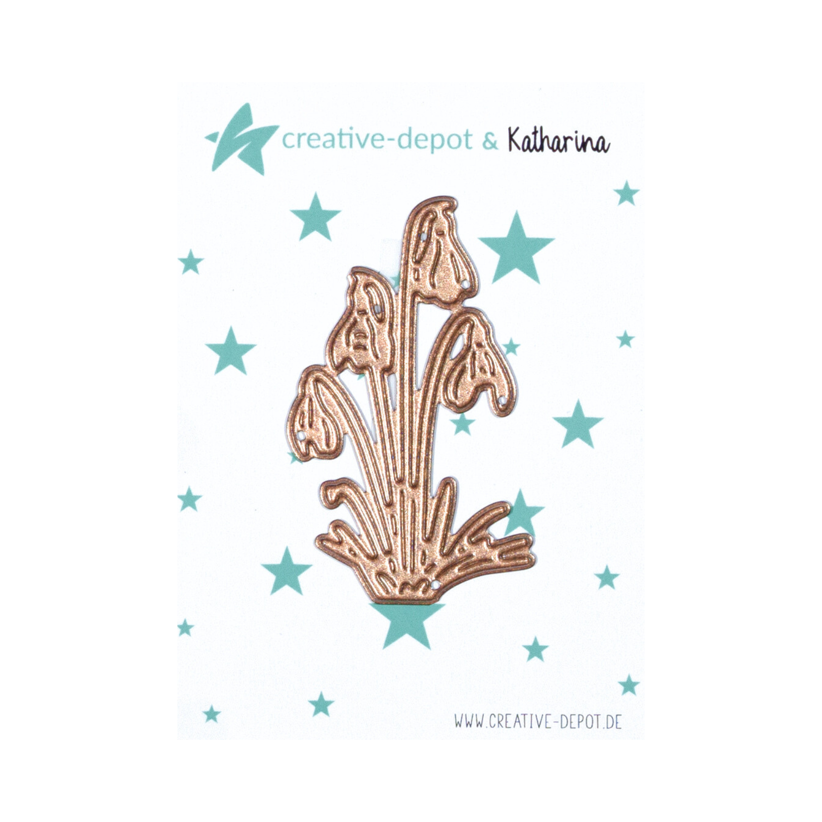 Die - Schneeglöckchen Pracht - klein