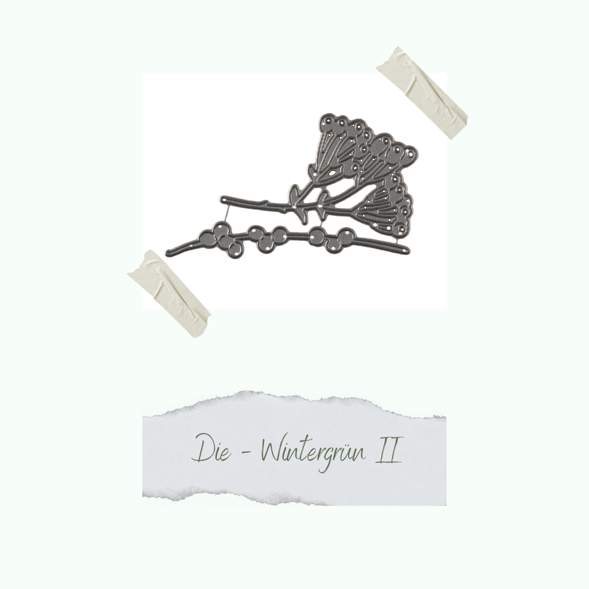 CD-Di-527_Die-Wintergr-n-II Die - Wintergrün II