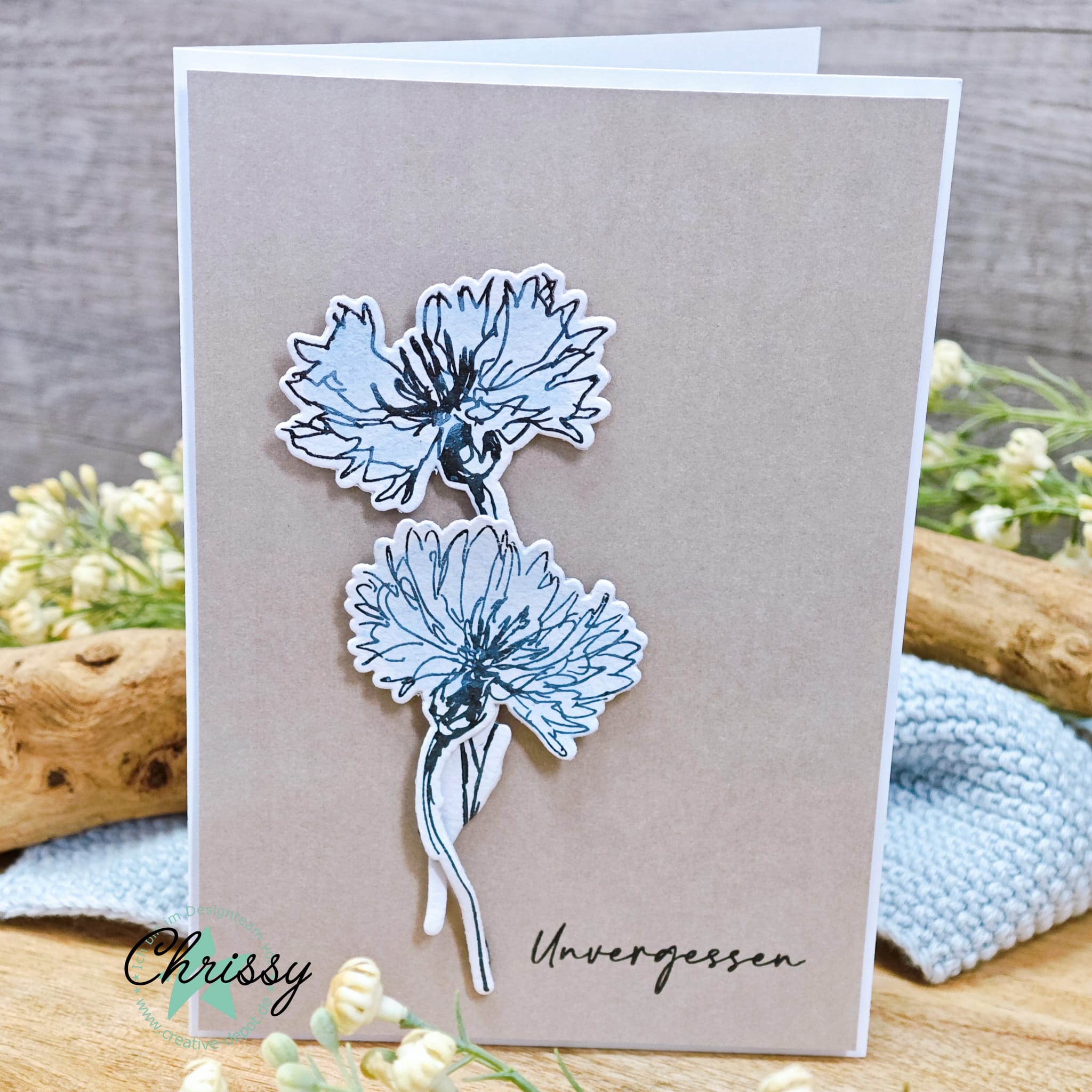Bundle - Kornblumen