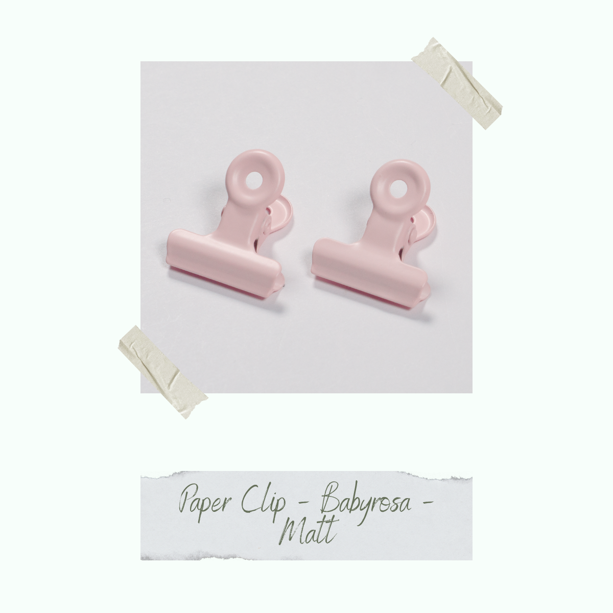 CD-ZB-065_Paper-Clip-Babyrosa
