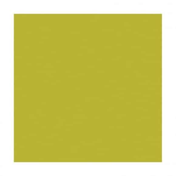 SpanishMossII Spanish Moss II